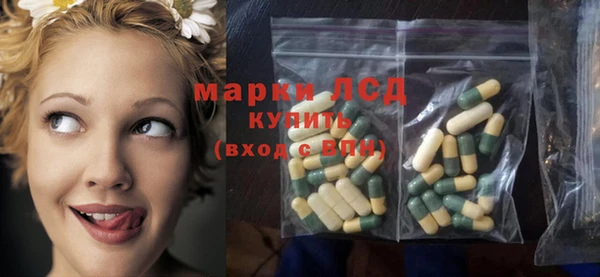 СК Волоколамск