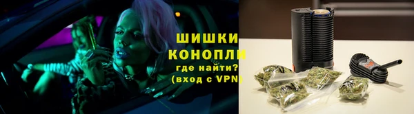 СК Волоколамск