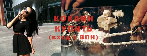 СК Волоколамск