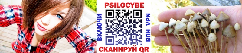 Псилоцибиновые грибы ЛСД  Плёс 